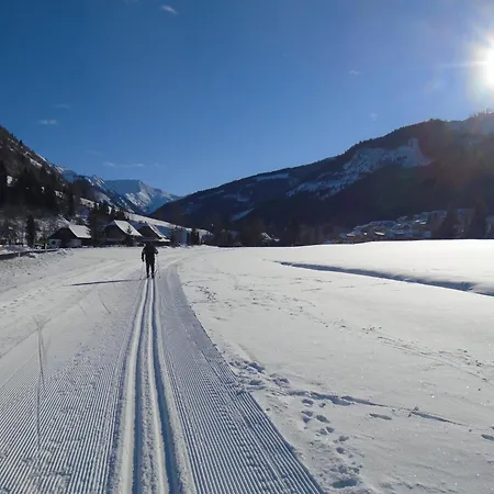 Haus Hestia * Donnersbachwald