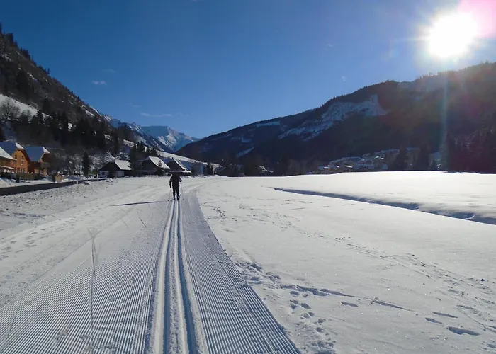 Haus Hestia * Donnersbachwald