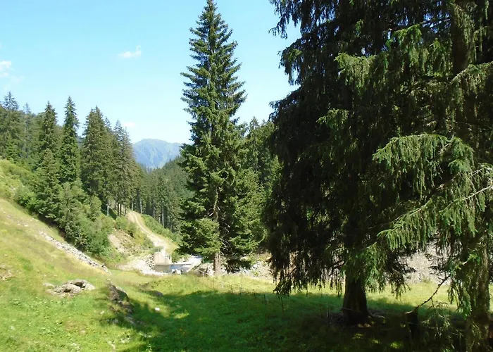 Chalet Haus Hestia Donnersbachwald